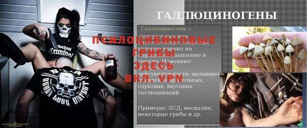прущие крисы Абинск