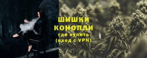 ГАЛЛЮЦИНОГЕННЫЕ ГРИБЫ Алзамай