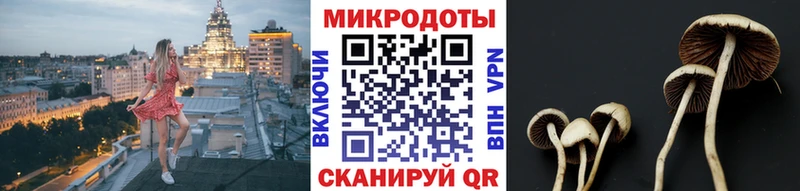 Псилоцибиновые грибы мицелий Ковров