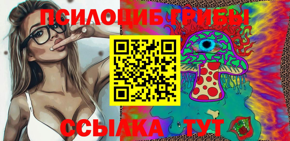 Ковров  Псилоцибиновые грибы MAGIC MUSHROOMS  Вход с VPN 