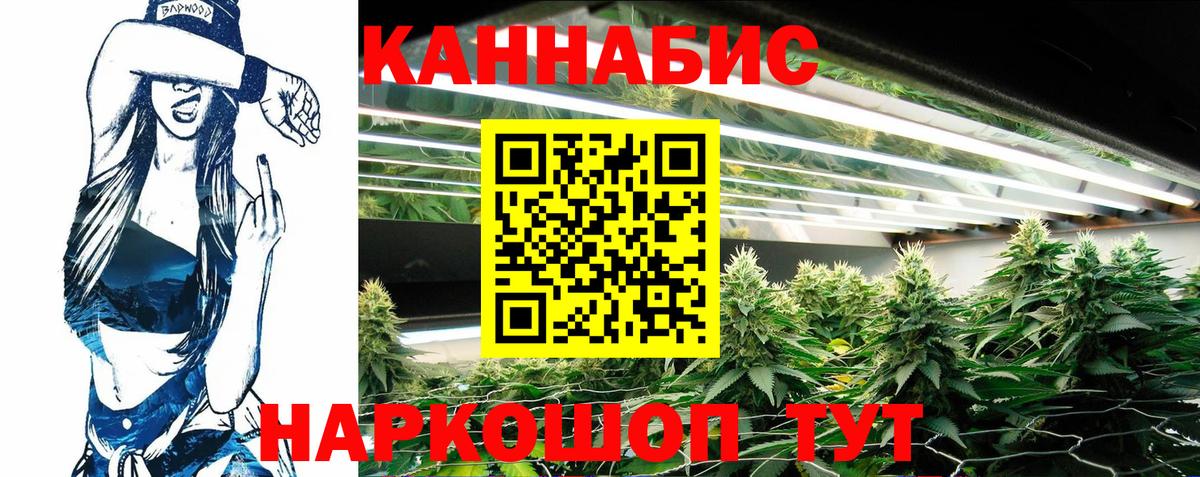 Каннабис марихуана  Конопля план  Вход с VPN  Каннабис Bruce Banner  Ковров 